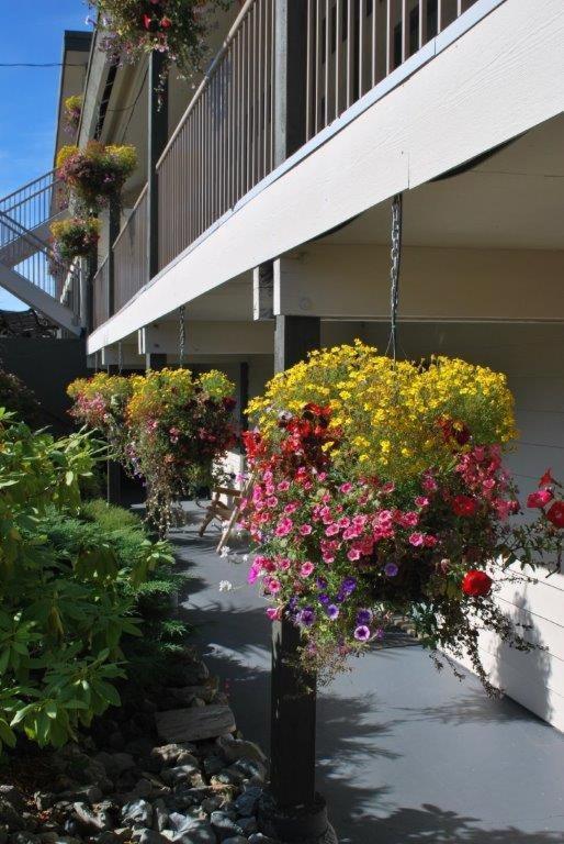 Pacific Rim Motel Ucluelet Exterior foto